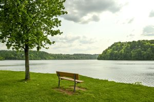 Cheat Lake owner 'has no plans' to sell land